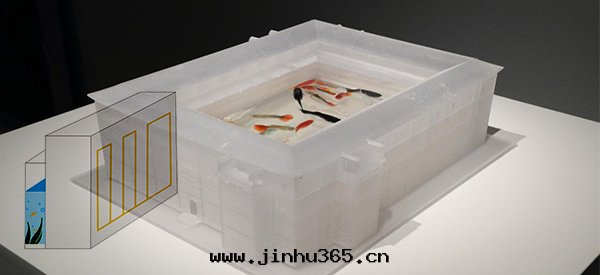 魚缸生态：窺見(jiàn)隐匿于(yú)山水(shuǐ)間(jiān)的東(dōng)方(fāng)建筑