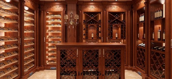 Unlock the Unique Transformation of Your Villa Basement with Electro-Osmotic Pulse Dehumidification